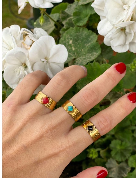 Anillo Meca