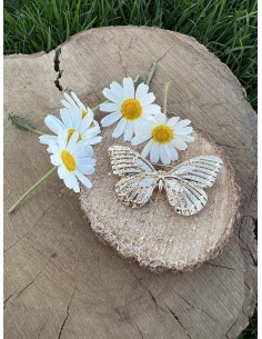 Broche Mariposa