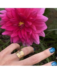 Anillo Dember