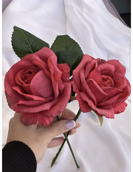 Rosa Flamenca Coral/Rojo