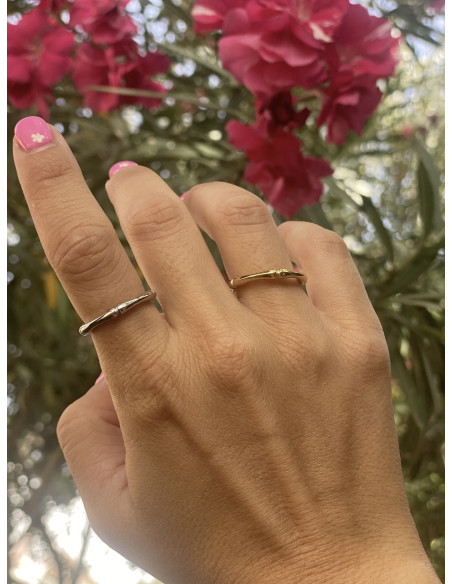 Anillo Pali