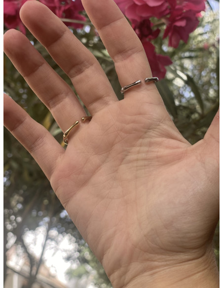 Anillo Pali