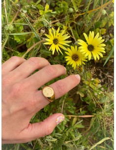 Anillo Happiness - Bacu Joyas y Complementos