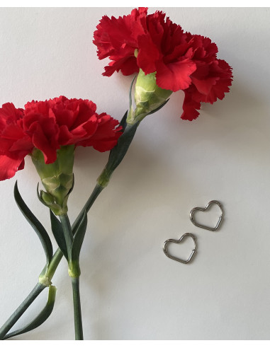 Aros Forma Corazón | Bacu Joyas y Complementos