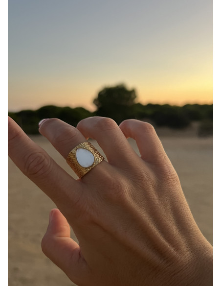 Anillo Medina