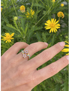 Anillo Holanda
