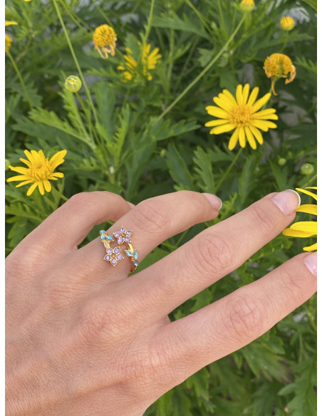 Anillo Holanda