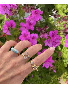 Anillo Holanda 2