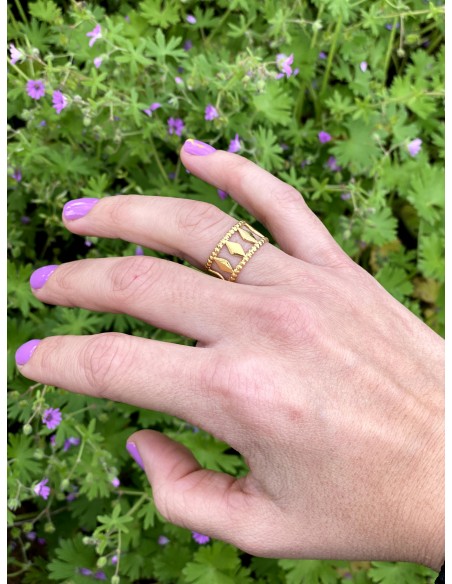 Anillo Tisen