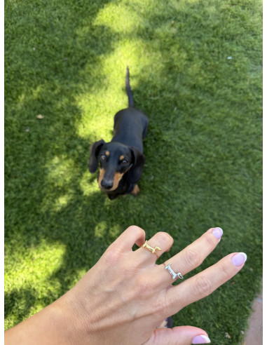 Anillo Teckel | Bacu Joyas y Complementos