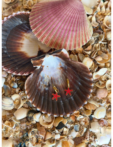 Aros Estrella de Mar | Bacu Joyas y Complementos