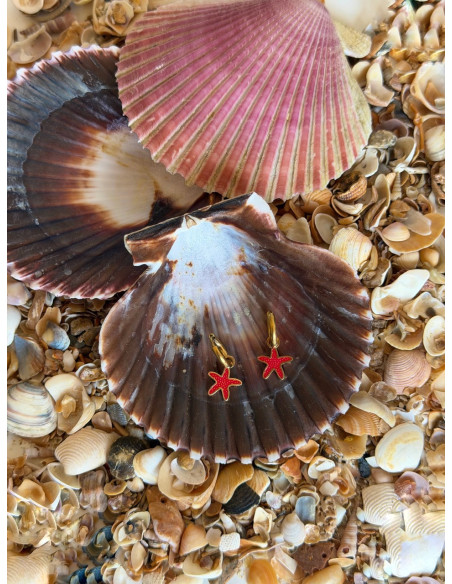 Aros Estrella de Mar | Bacu Joyas y Complementos