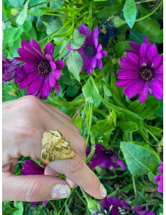 Anillo Lion