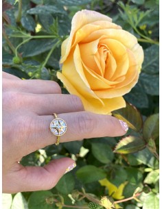 Anillo Barti