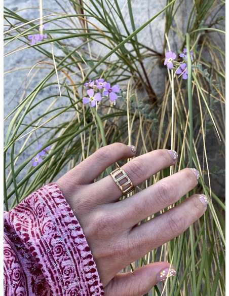 Anillo Reja