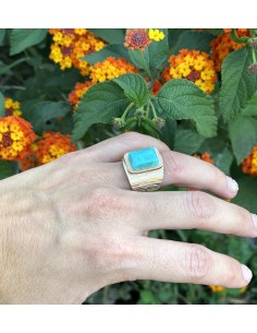 Anillo Cenote 2
